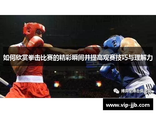 如何欣赏拳击比赛的精彩瞬间并提高观赛技巧与理解力