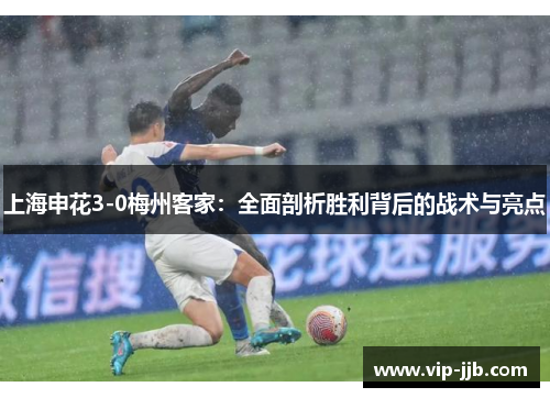 上海申花3-0梅州客家：全面剖析胜利背后的战术与亮点
