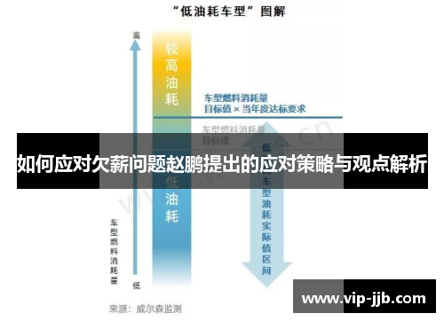 如何应对欠薪问题赵鹏提出的应对策略与观点解析
