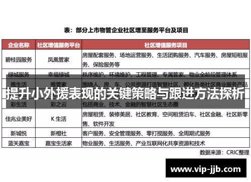 提升小外援表现的关键策略与跟进方法探析