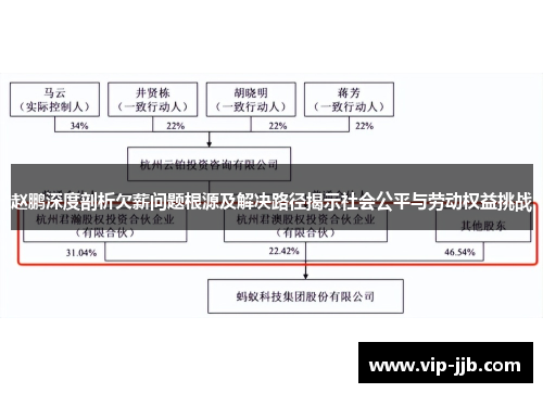 赵鹏深度剖析欠薪问题根源及解决路径揭示社会公平与劳动权益挑战