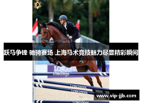 跃马争锋 驰骋赛场 上海马术竞技魅力尽显精彩瞬间
