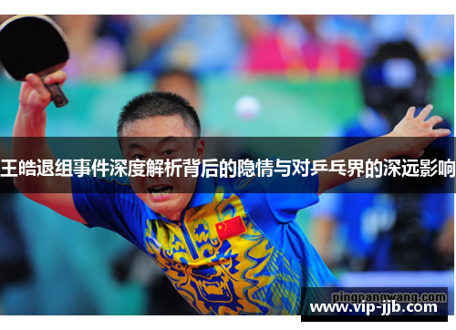 王皓退组事件深度解析背后的隐情与对乒乓界的深远影响