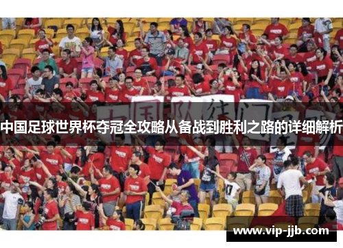 中国足球世界杯夺冠全攻略从备战到胜利之路的详细解析